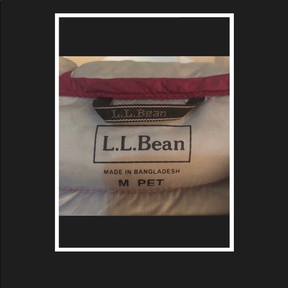 L.L Bean Winter Coat - Picture 4 of 4